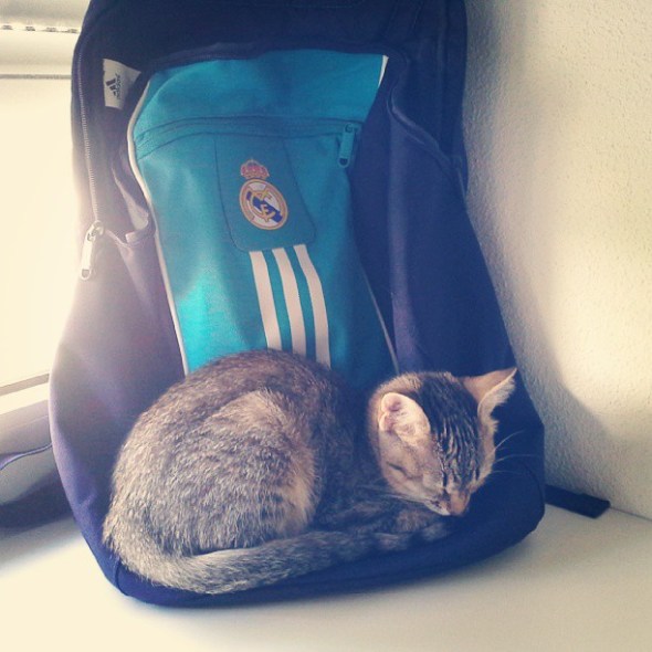 2013-10-05_1380971259